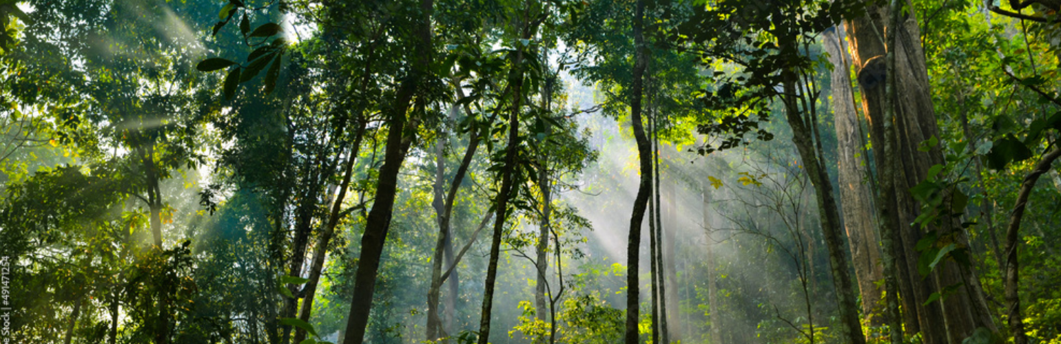 サステナビリティ